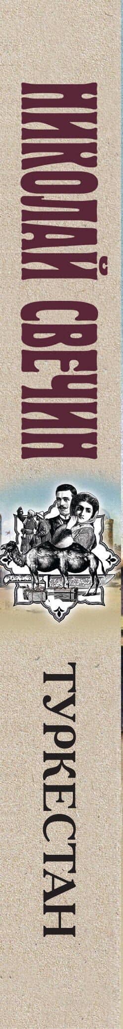 Туркестан — Николай Свечин (3)