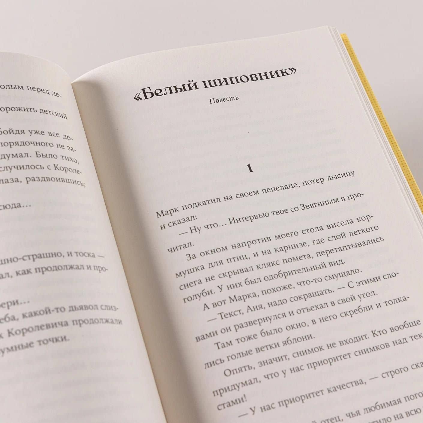 Дальний Лог. Уральские рассказы — Наталья Бакирова (2)