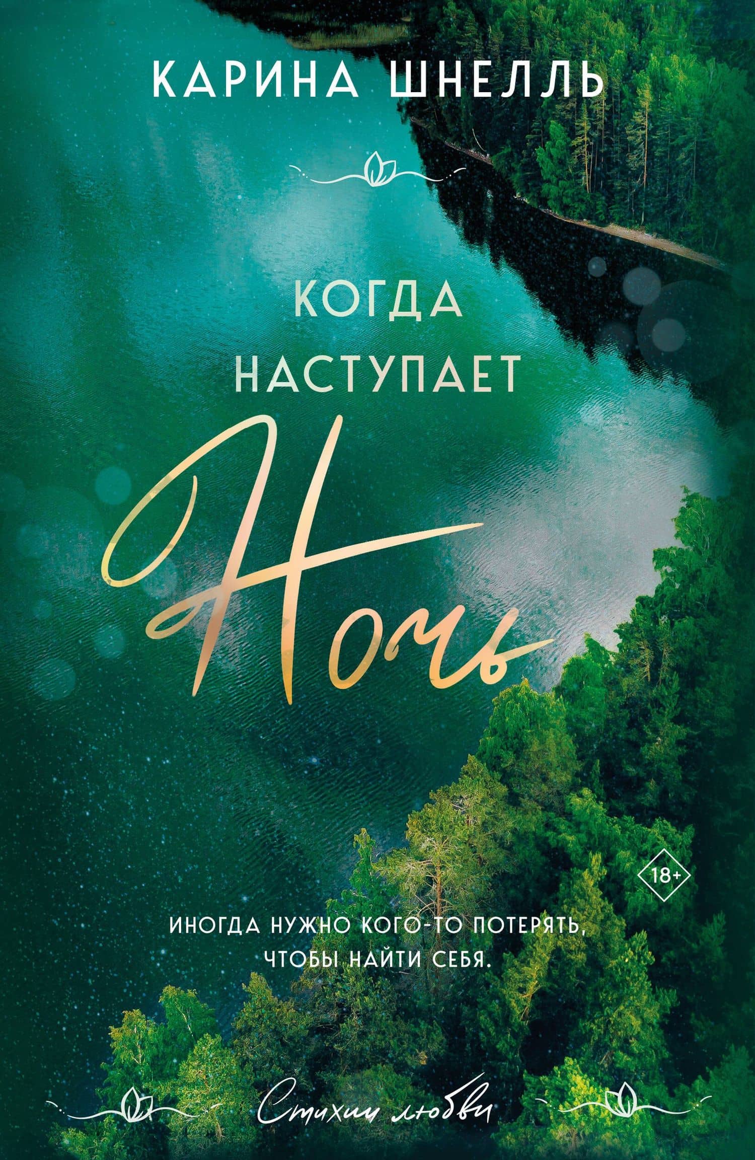 Когда наступает ночь — Карина Шнелль