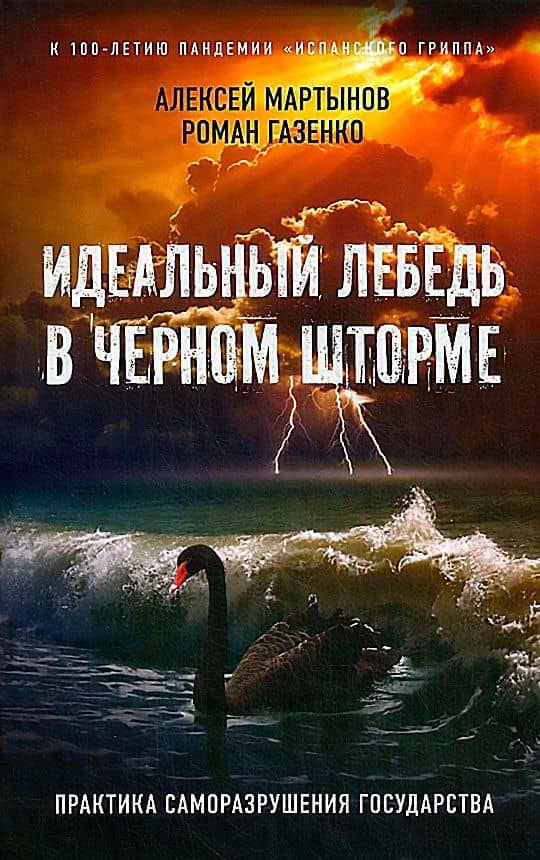 Идеальный лебедь в черном шторме. Практика саморазрушения государства — Алексей Анатольевич Мартынов