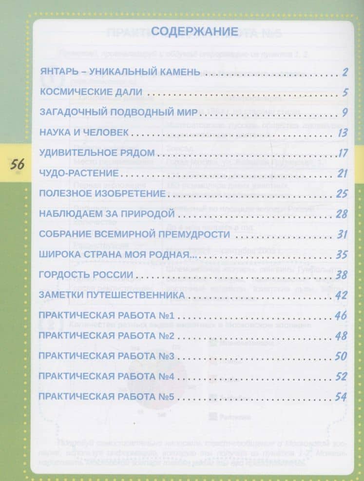 Смысловое чтение. Тренажёр для школьников. 4 класс — Светлана Анатольевна Шейкина (2)