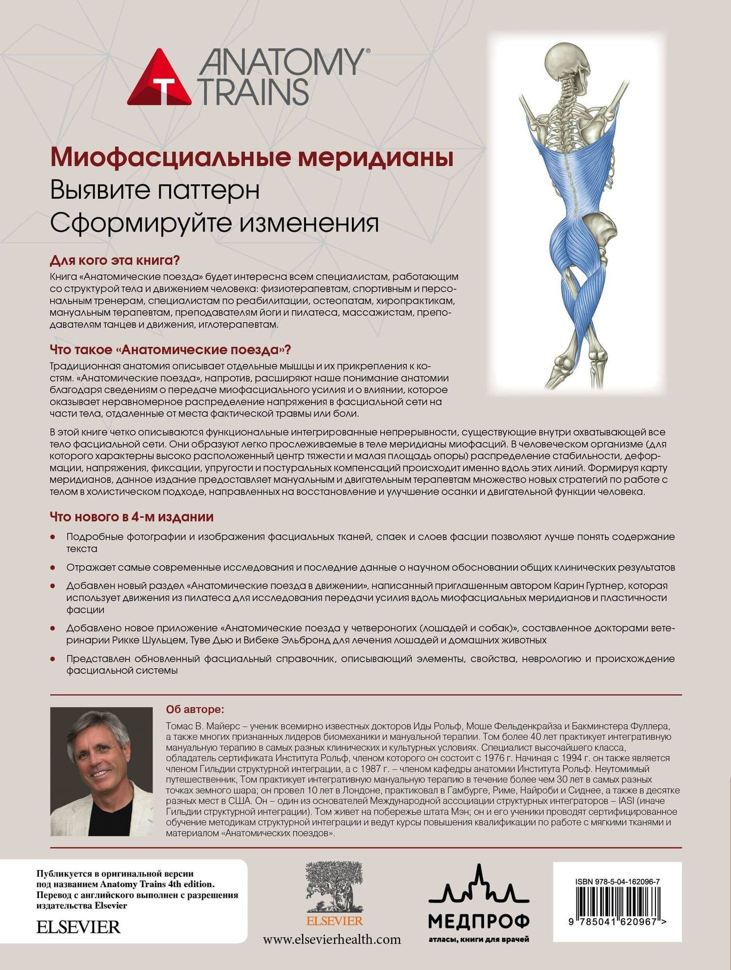 Анатомические поезда — Томас Майерс (2)