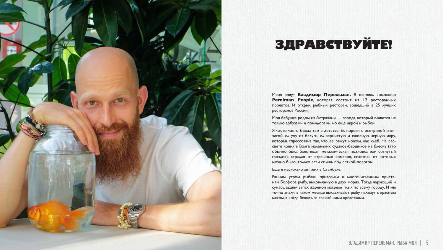 Рыба моя — Владимир Перельман (3)