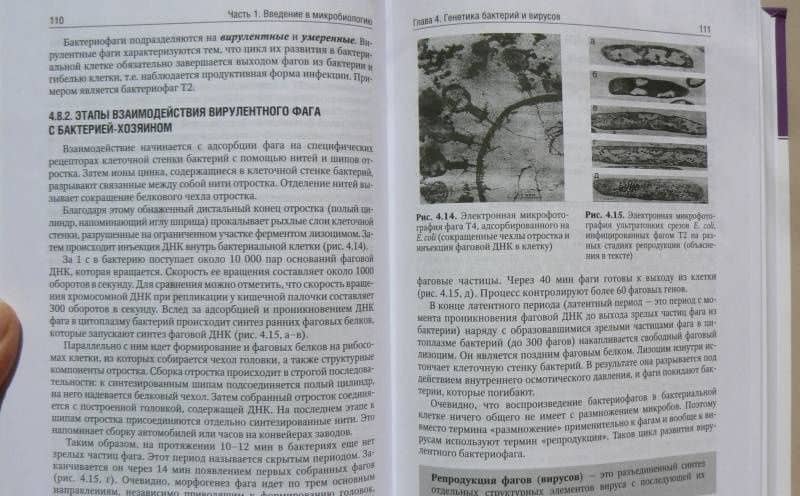 Микробиология, вирусология, иммунология полости рта. Учебник — Мария Михайловна Давыдова (3)