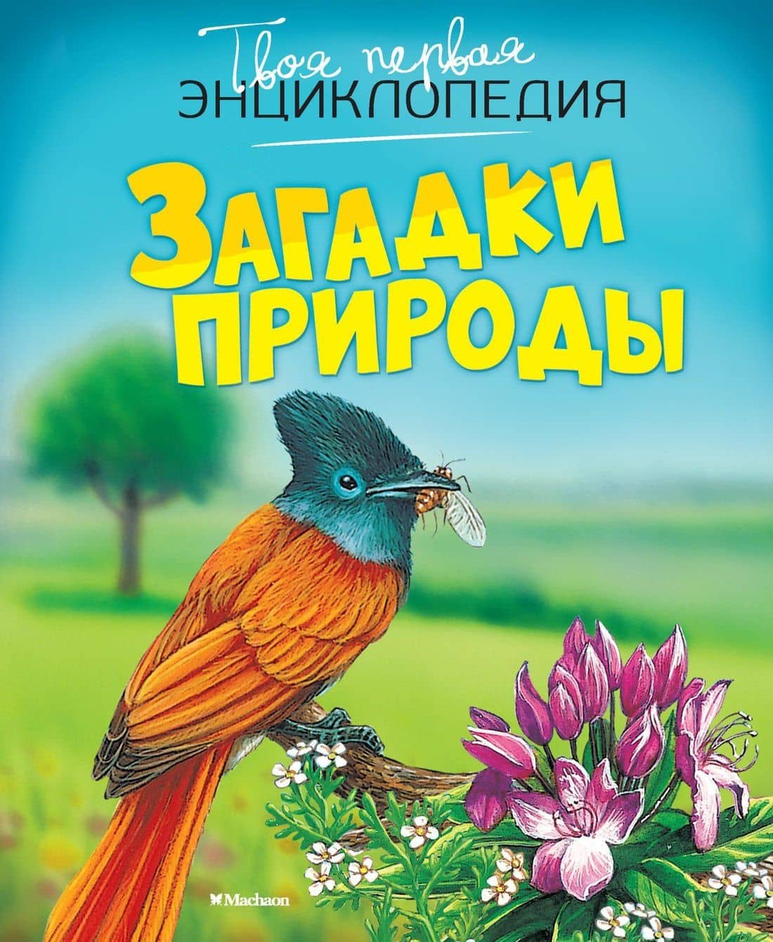 Загадки природы — Мари-Рене Гийоре