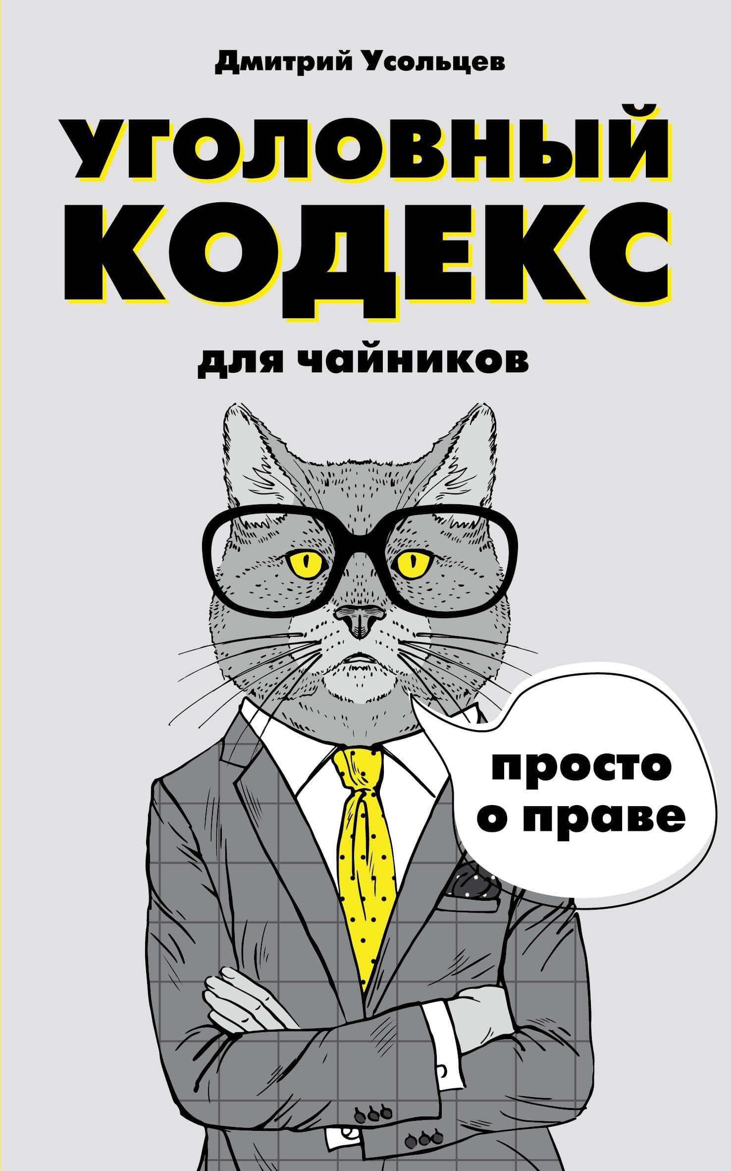 Уголовный кодекс для чайников — Дмитрий Александрович Усольцев