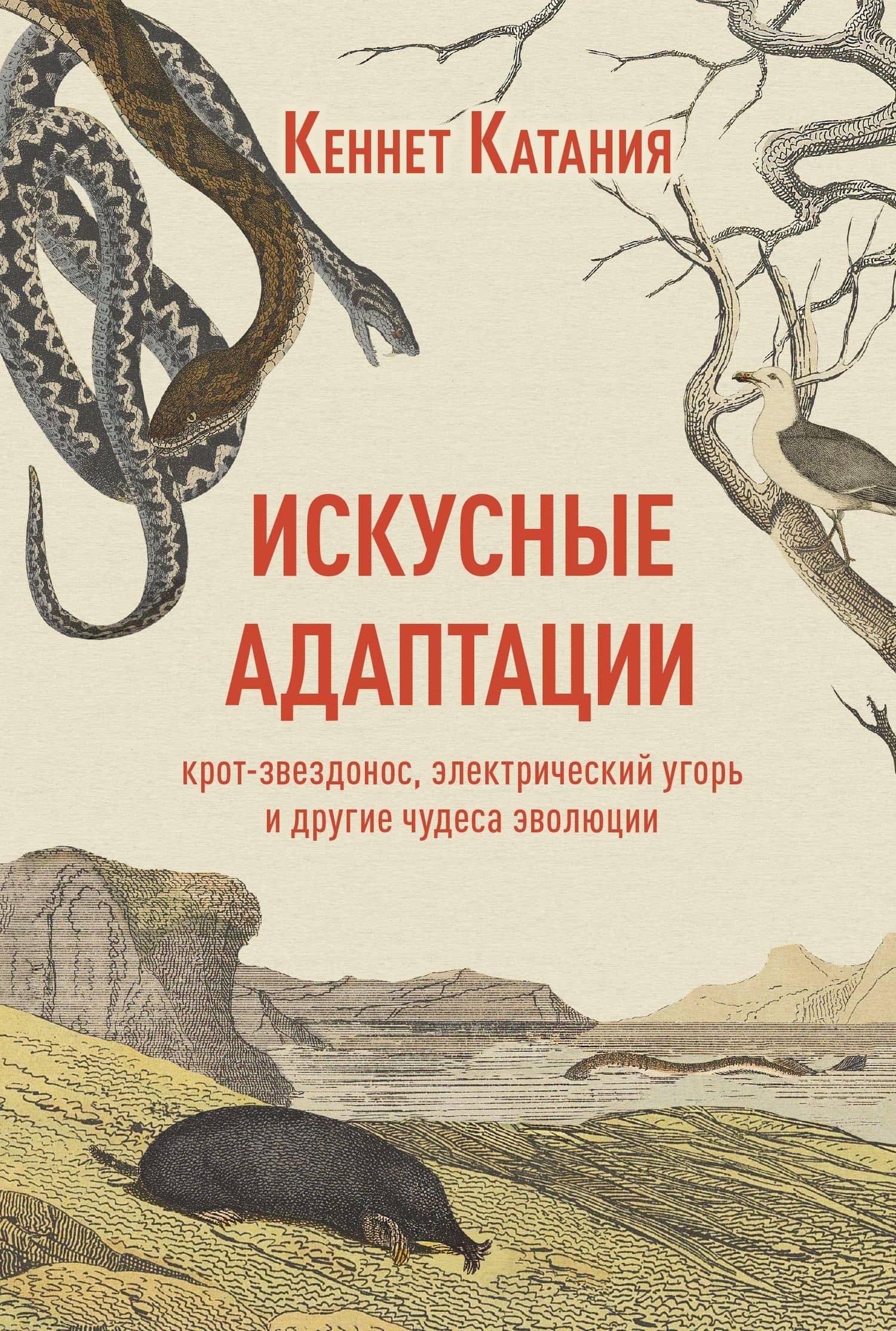 Искусные адаптации. Крот-звездонос, электрический угорь и другие чудеса эволюции — Кеннет Катания