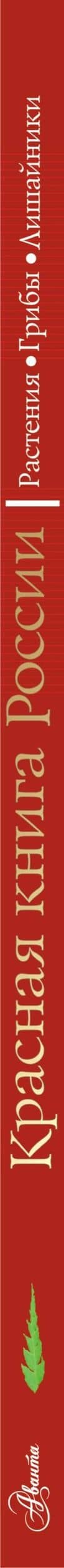 Красная книга России. Растения. Грибы. Лишайники — Ирина Михайловна Пескова (3)
