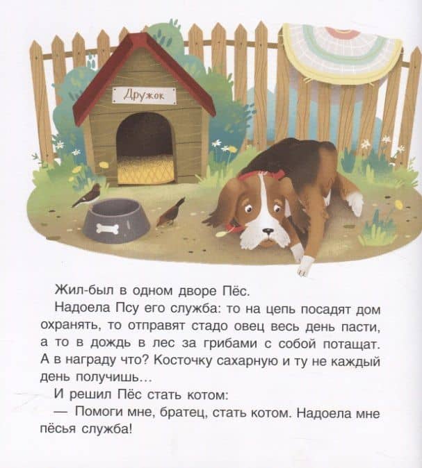 Кот и пес. Сказка. Задания. 2+ — Мария Сергеевна Агапина (2)