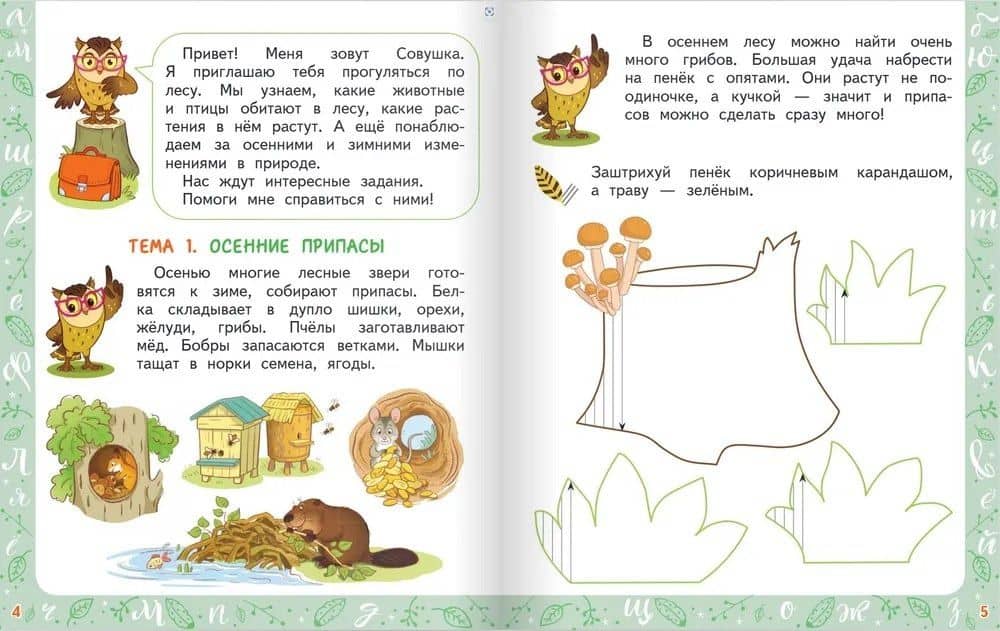 Совушкино перышко. Готовим руку к письму — Ксения Владимировна Мукина (3)