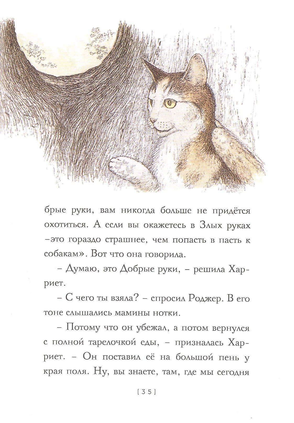 Крылатые кошки — Урсула Кребер Ле Гуин (3)