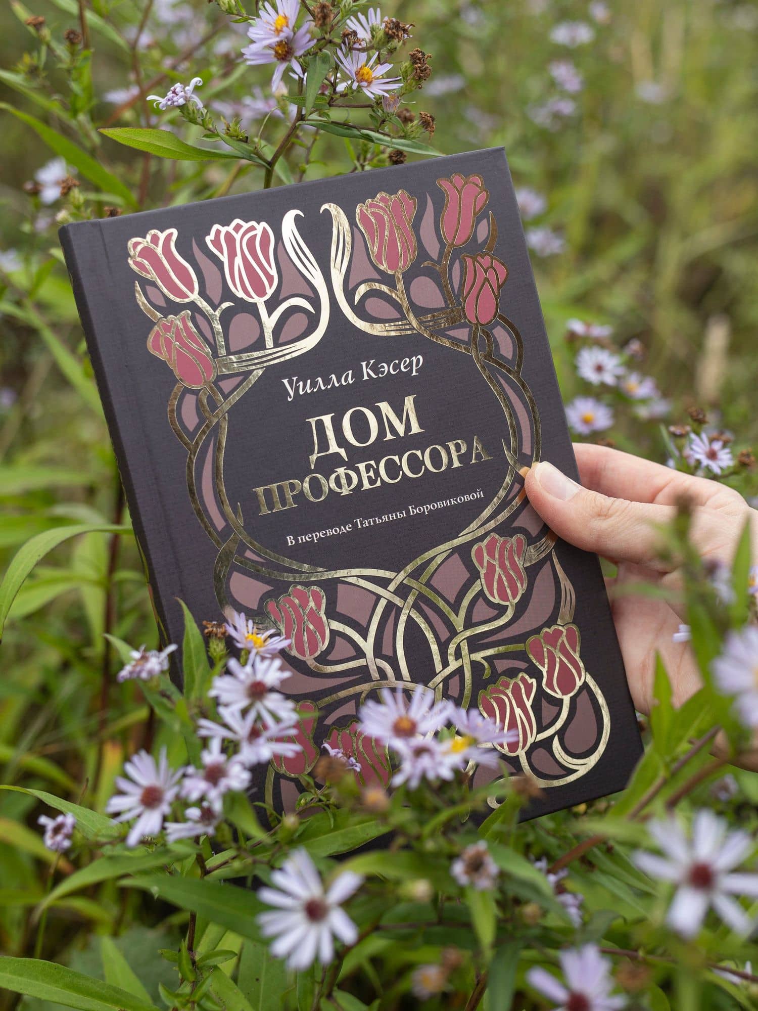 Дом профессора — Уилла Сиберт Кэсер (3)