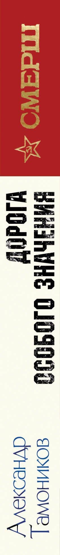 Дорога особого значения — Александр Александрович Тамоников (3)