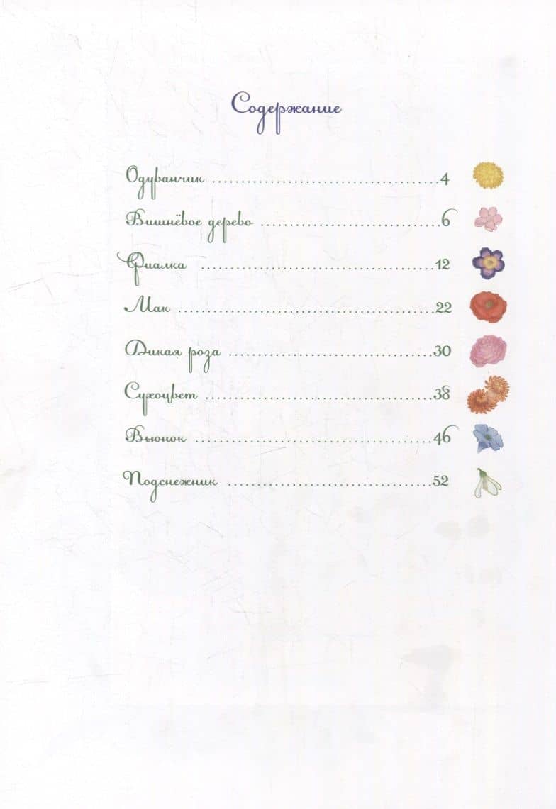 Сказки о цветах. Романтический букет — Анна Саксе (2)
