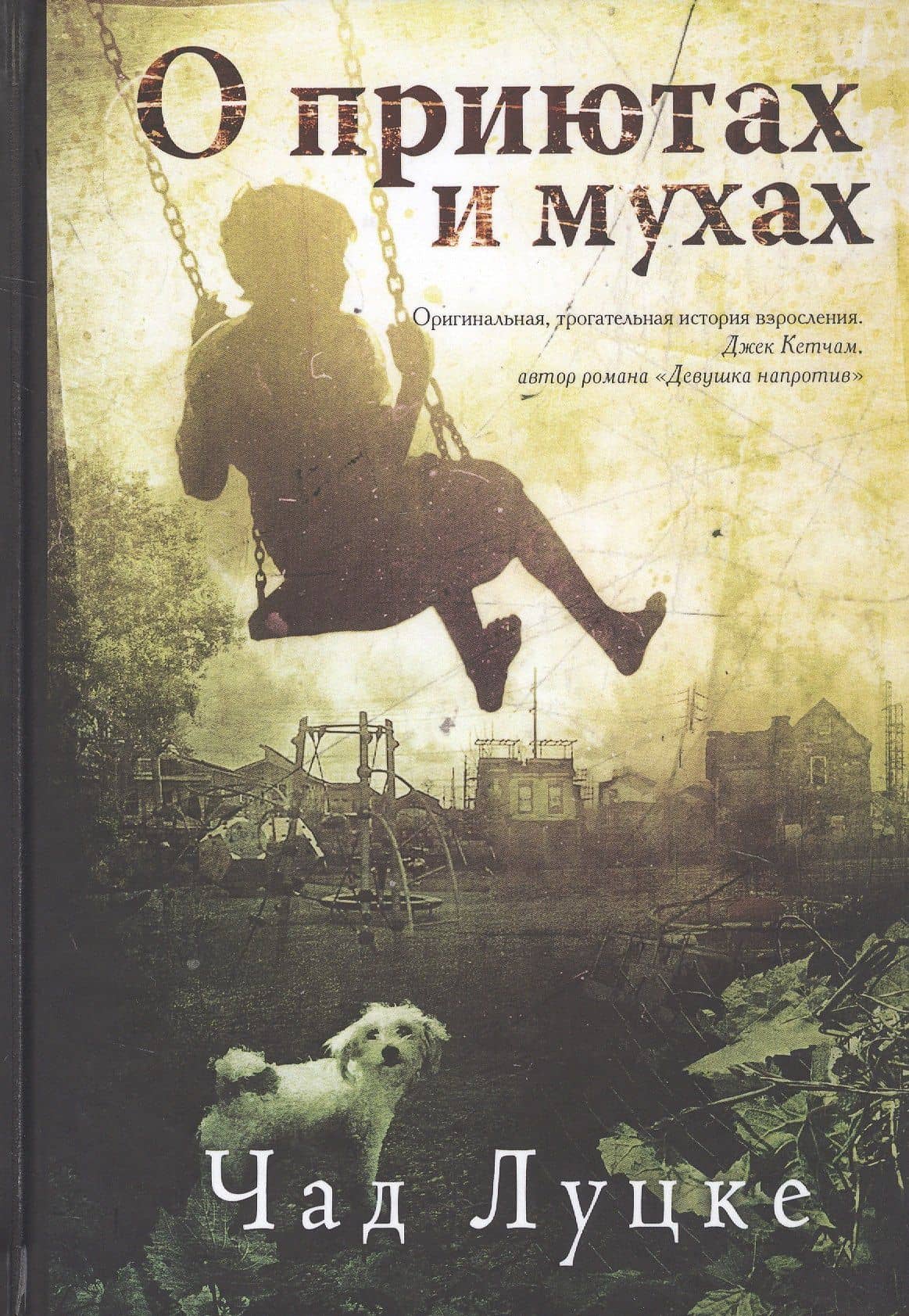 О приютах и мухах — Чад Луцке