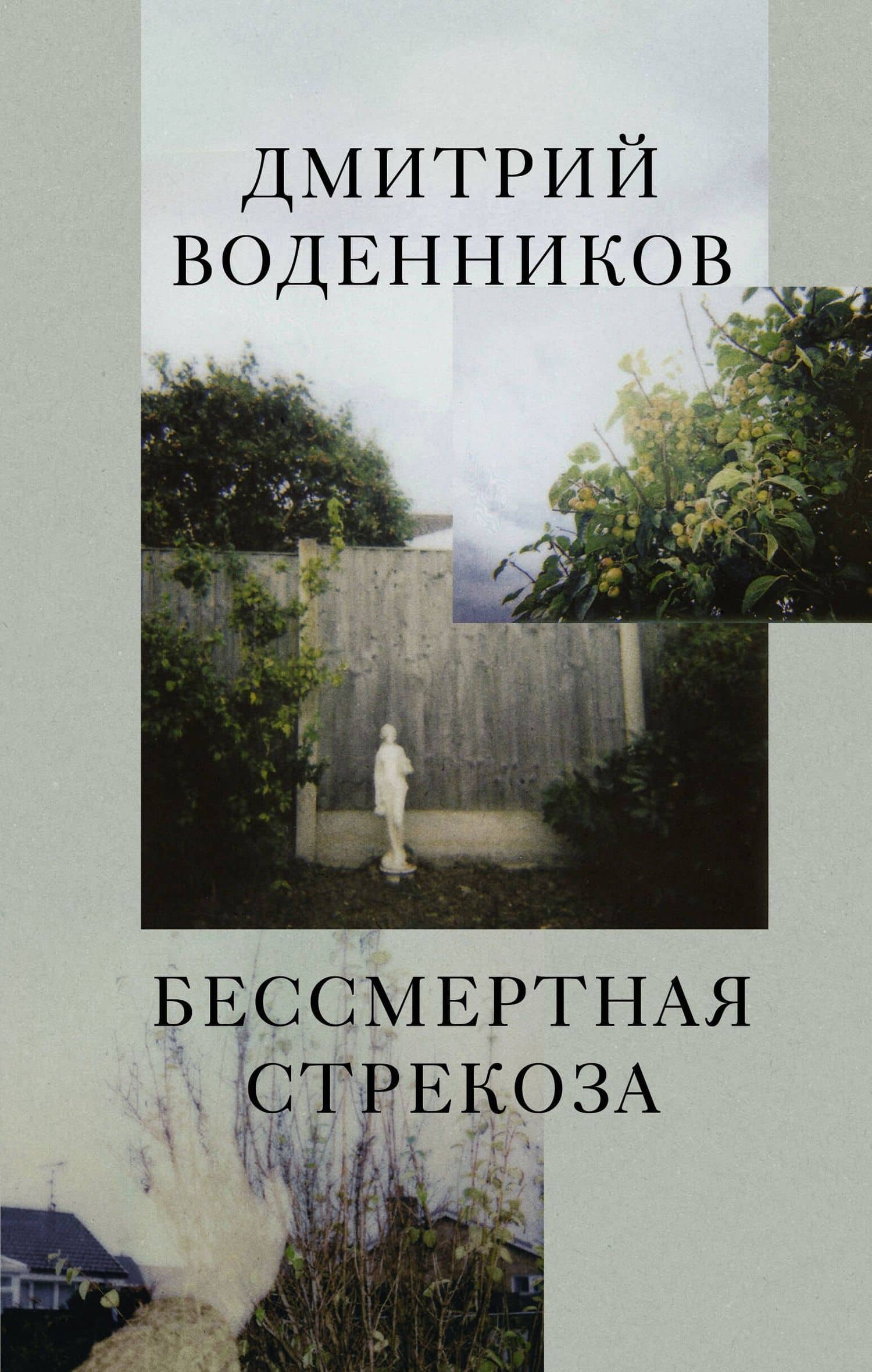 Бессмертная стрекоза — Дмитрий Борисович Воденников