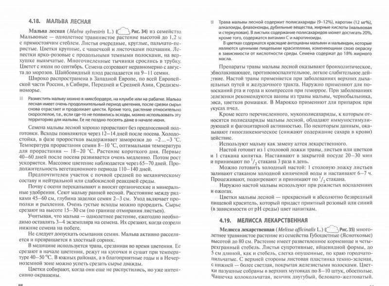 Лекарственные растения в декоративном садоводстве. Учебное пособие — Елена Львовна Маланкина (2)