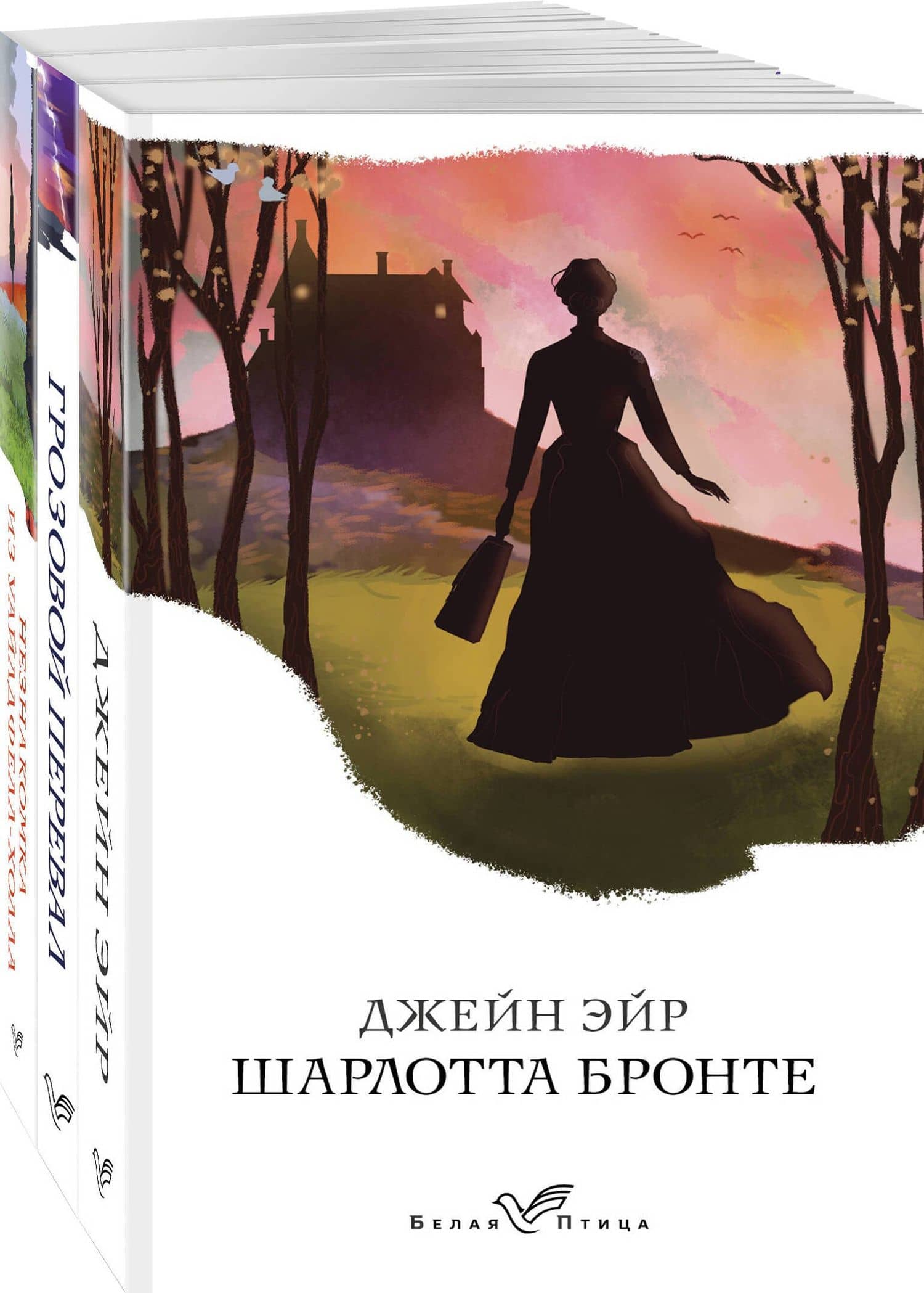 Набор "Сестры Бронте" (из 3 книг: "Джейн Эйр", "Грозовой перевал", "Незнакомка из Уайлдфелл-Холла") — Сестры Бронте