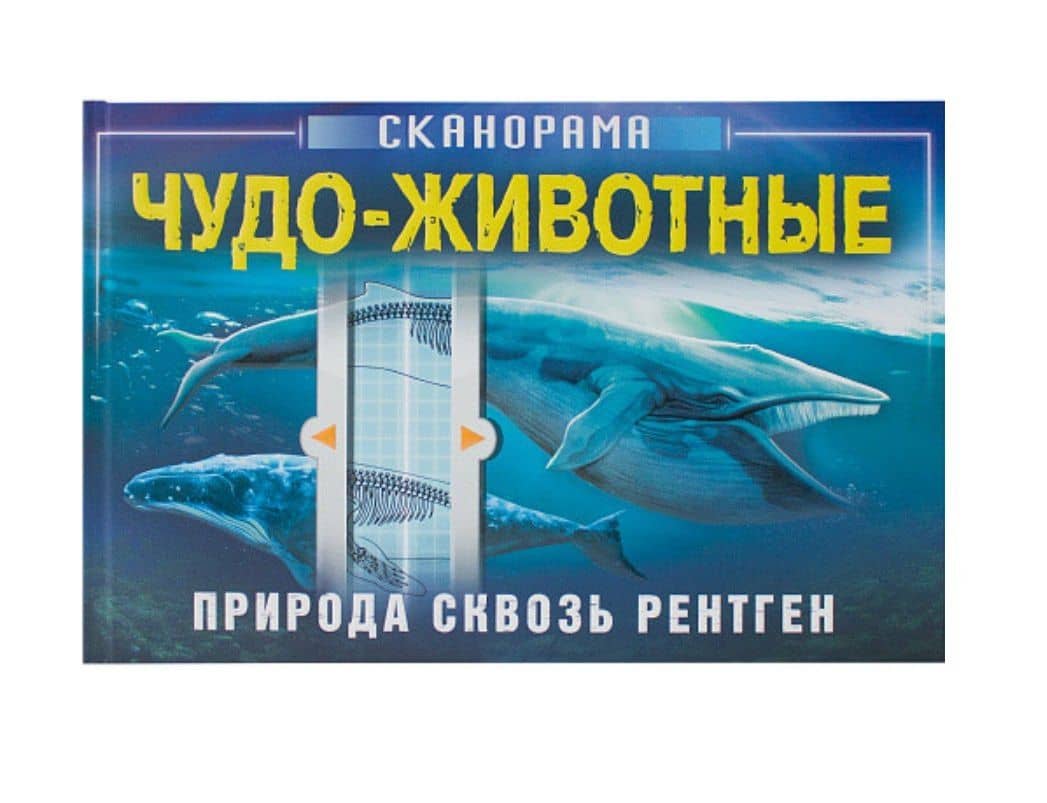 Чудо-животные — Анна Клейбурн