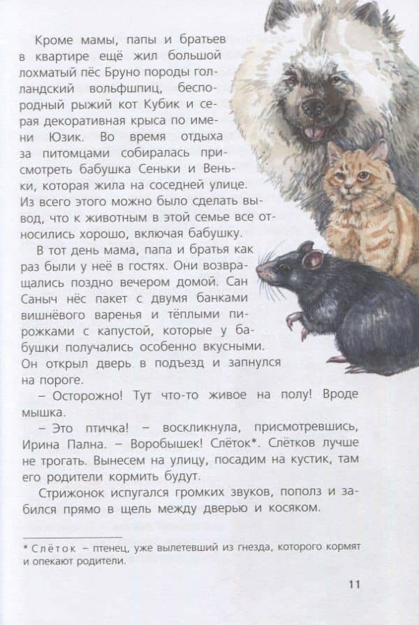 Я считаю ворон. Две истории из жизни птиц и людей — Людмила Одинцова (3)