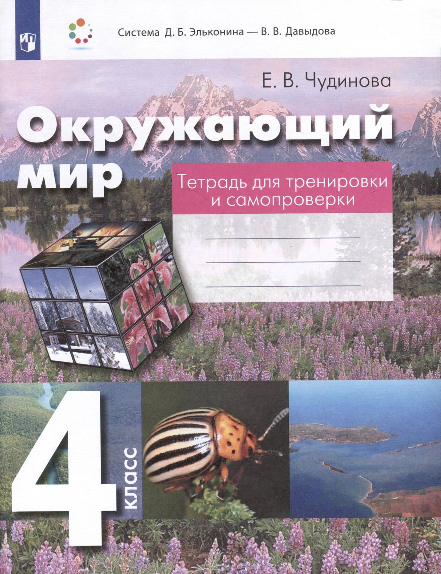 Окружающий мир. 4 класс. Тетрадь для тренировки и самопроверки — Елена Васильевна Чудинова
