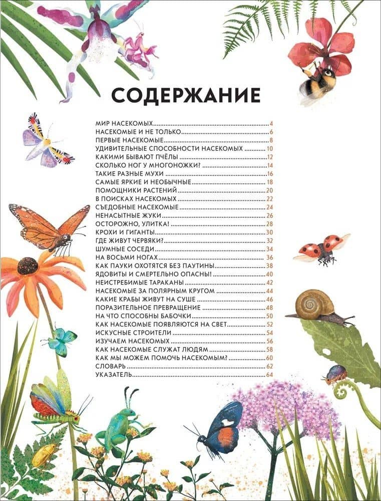 Детская энциклопедия насекомых и других маленьких животных — Ник Крамптон (3)