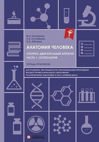 Анатомия человека. Опорно-двигательный аппарат. Часть 1. Остеология. Тетрадь-практикум для высшего образования — Анна Викторовна Олсуфьева
