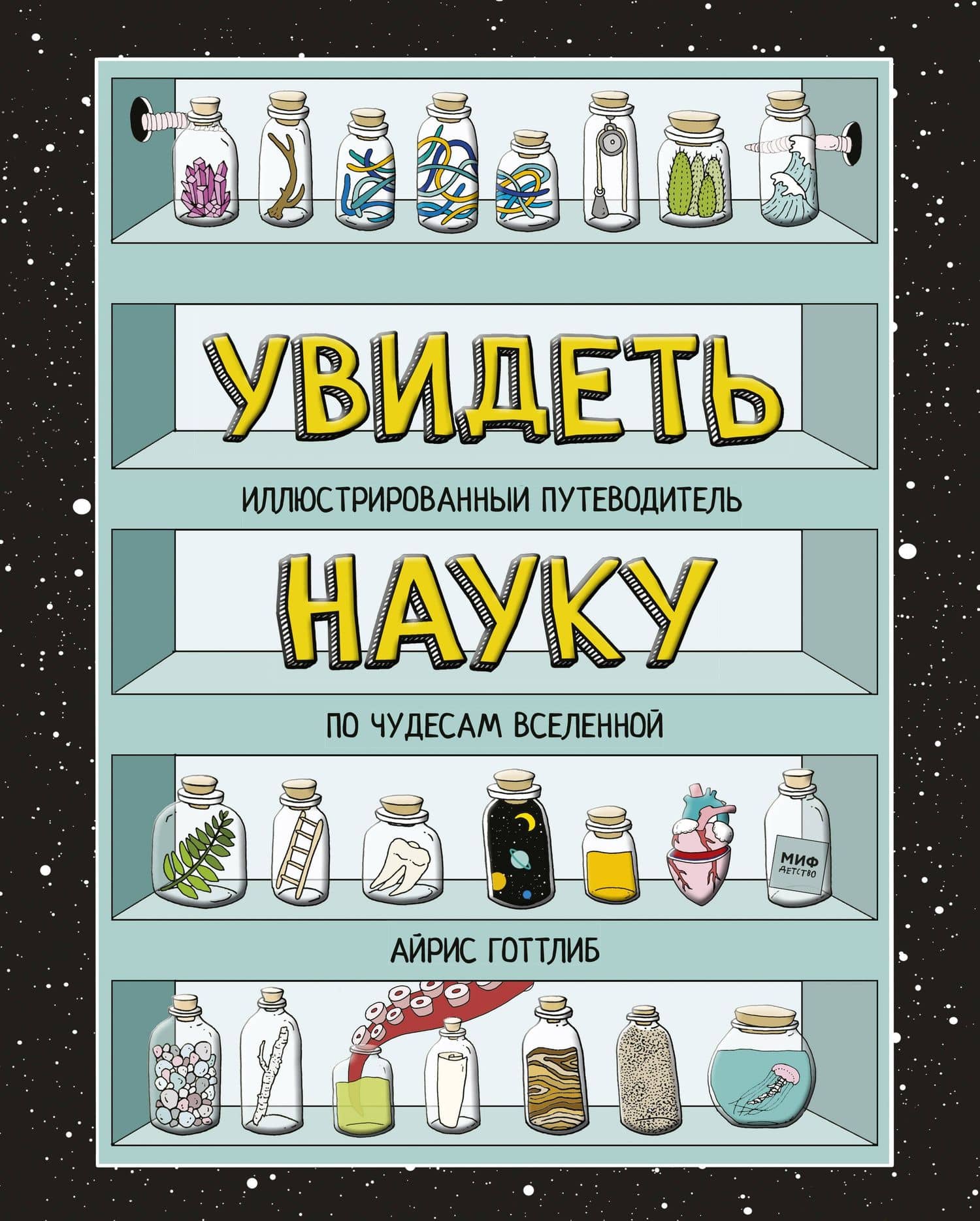 Увидеть науку. Иллюстрированный путеводитель по чудесам Вселенной — Айрис Готтлиб