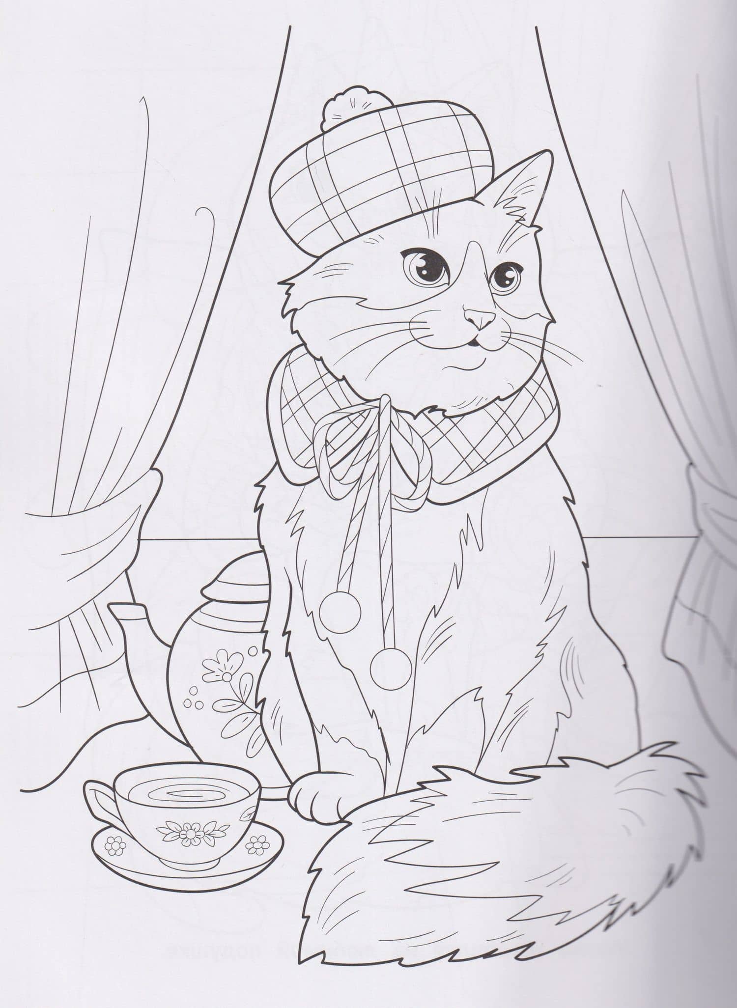 Котики (3)