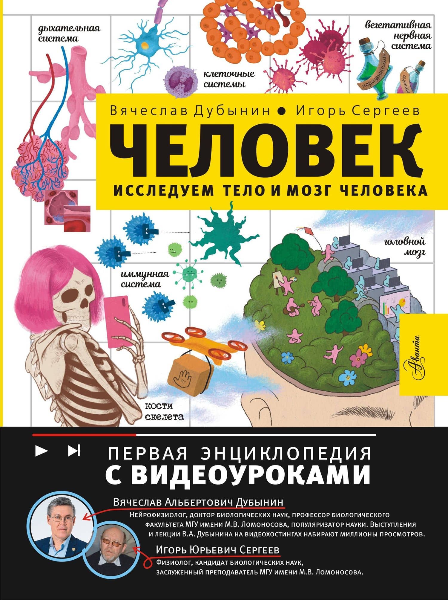 Человек. Исследуем тело и мозг человека — Вячеслав Альбертович Дубынин