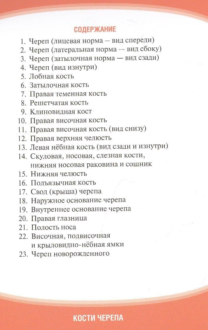 Анатомия человека. Кости черепа. Карточки: наглядное учебное пособие — Алексей Иванович Гайворонский (2)