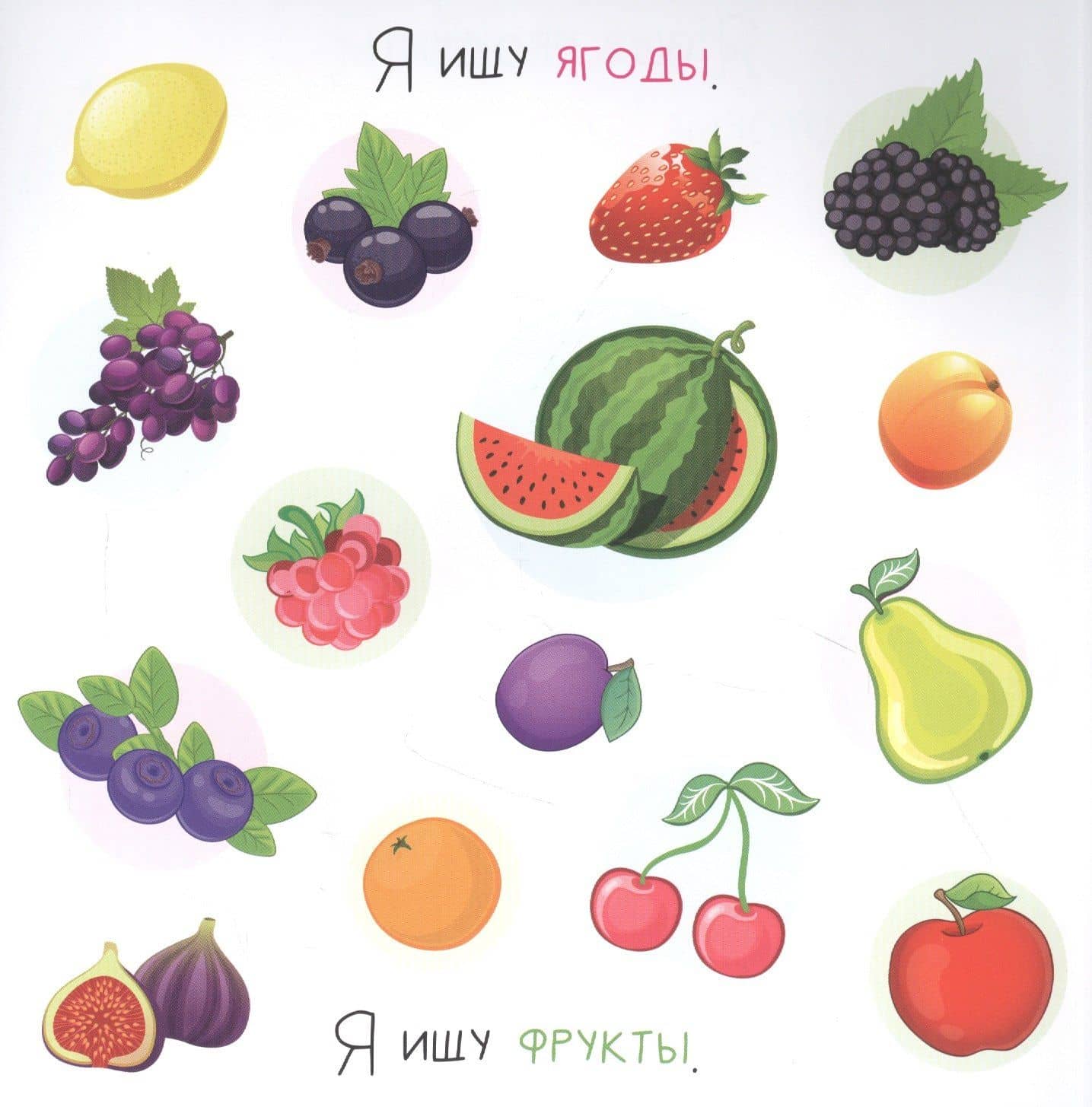 Я ищу На ферме — Алена Лядова (2)