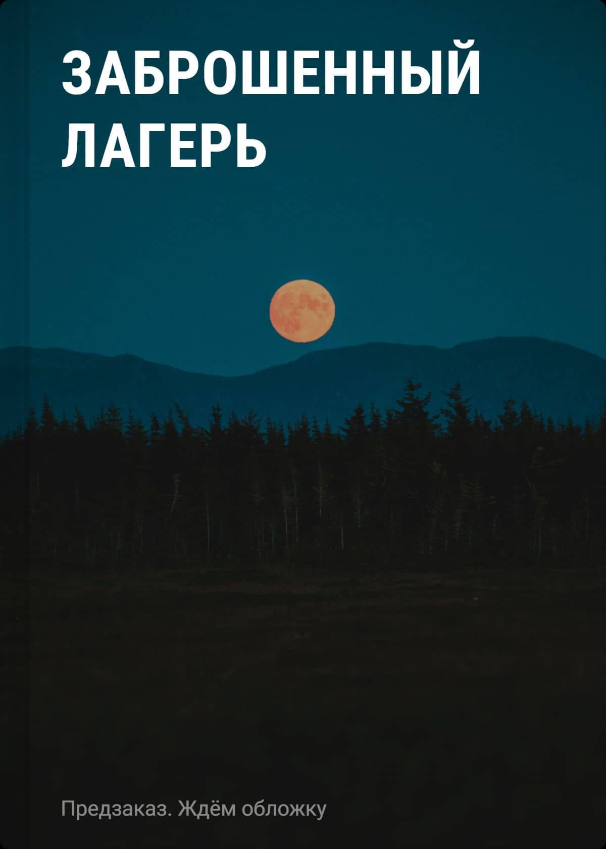 Заброшенный лагерь — Влад Райбер