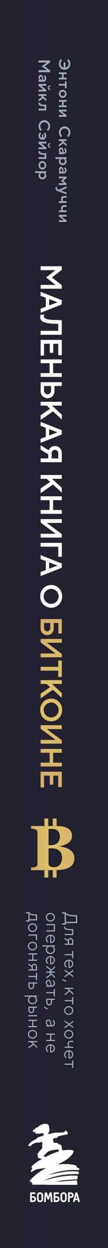 Маленькая книга о биткоине. Для тех, кто хочет опережать, а не догонять рынок — Майкл Сэйлор (3)
