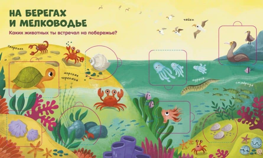 Океаны и моря. Книжка с окошками (3)