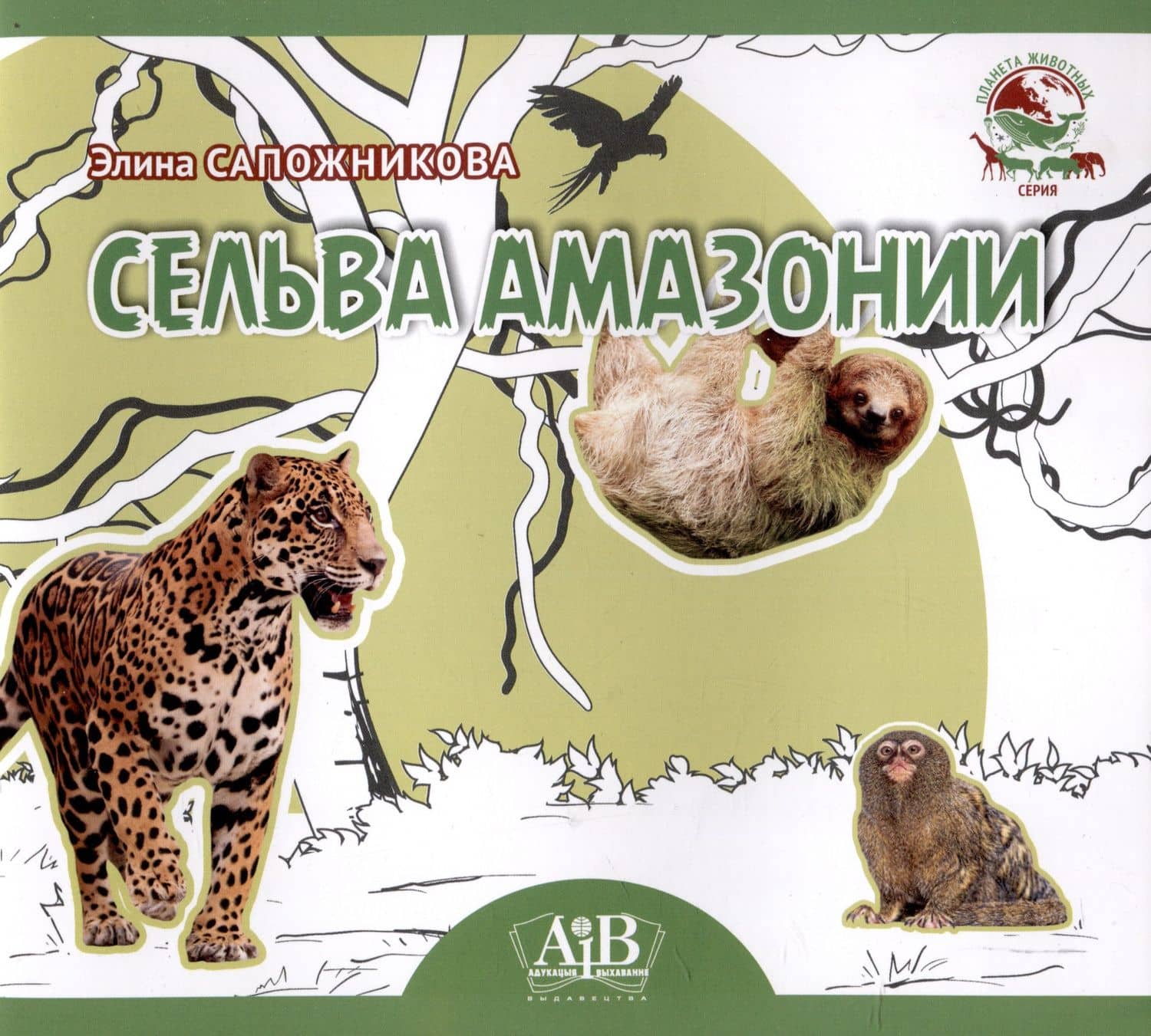 Обложка книги