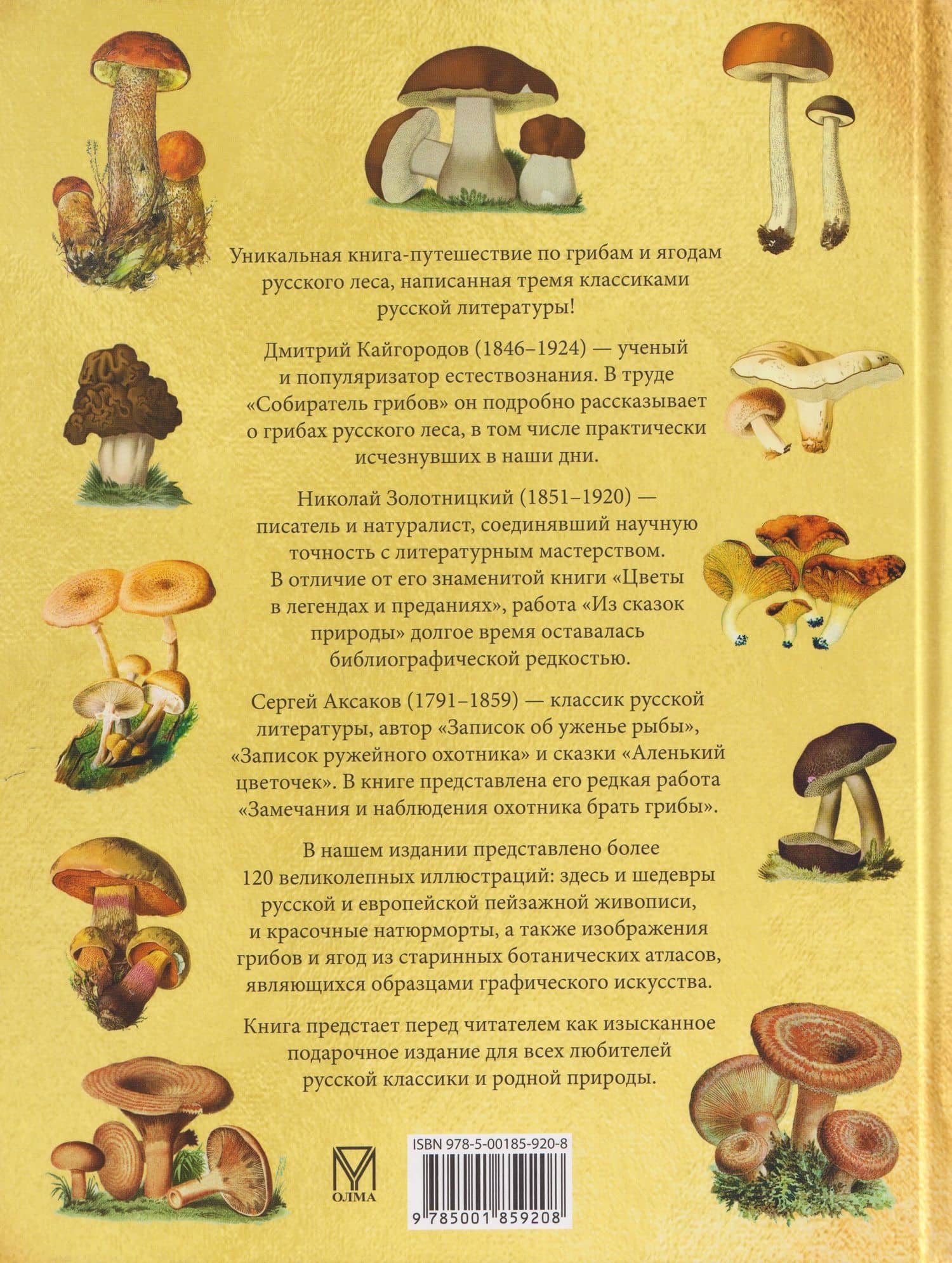 Русский лес. Грибы и ягоды (2)