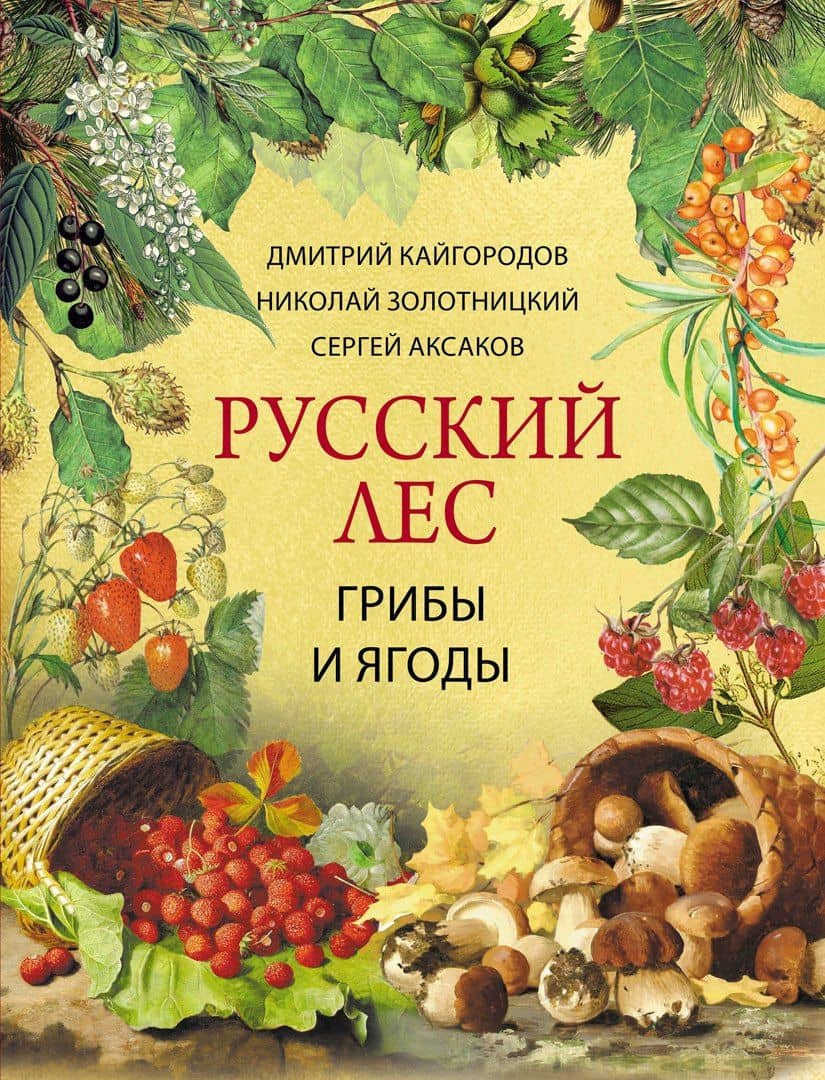 Русский лес. Грибы и ягоды