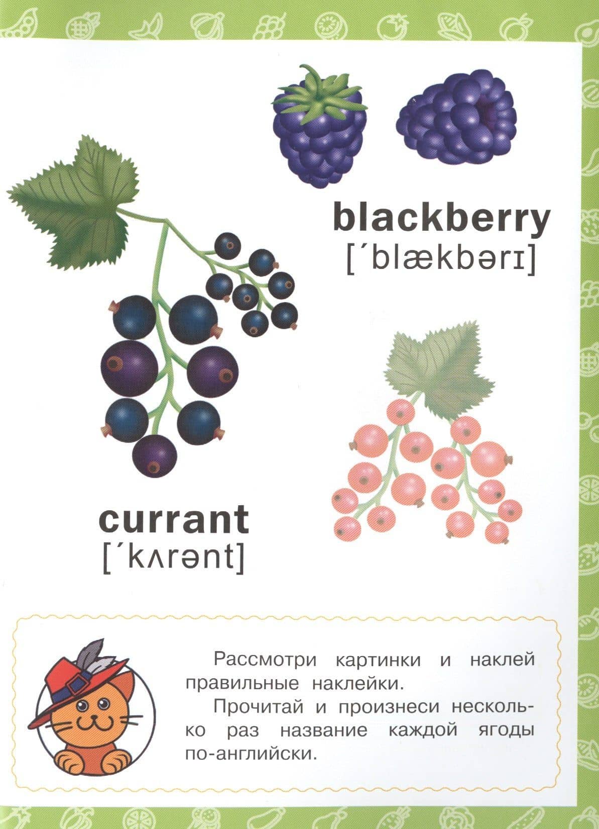 Овощи, фрукты, ягоды (3)