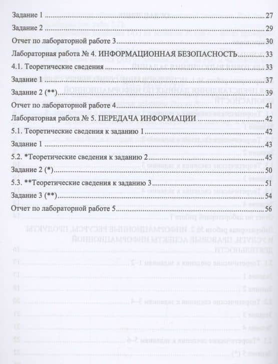 Социальные аспекты информационной безопасности. Лабораторный практикум. Учебное пособие для вузов — Ирина Владимировна Галыгина (3)