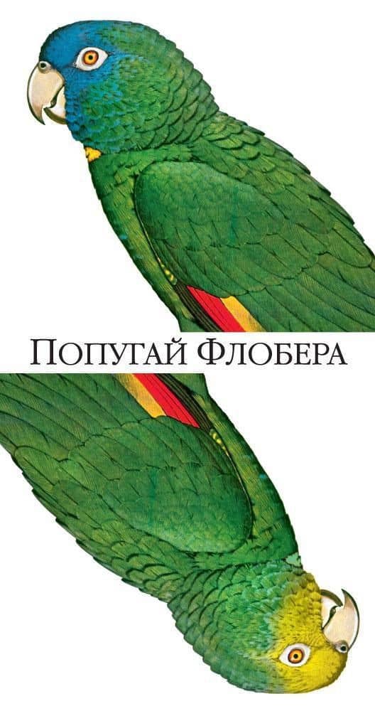 Попугай Флобера — Джулиан Барнс
