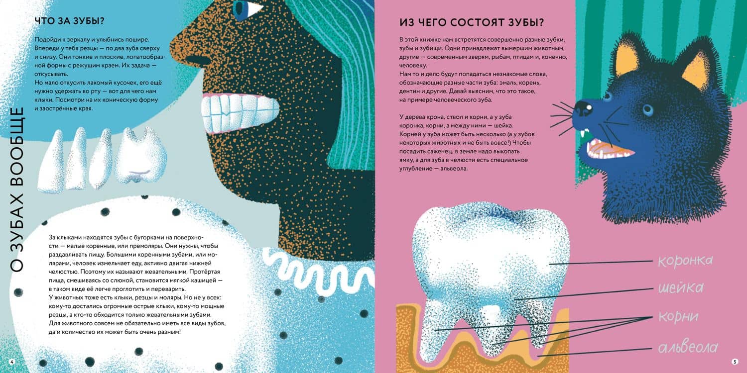 Зубки и зубищи — Анна Фелисити (2)
