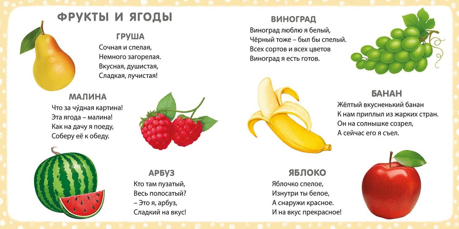 Книга на картоне. Мои первые картинки и стихи (3)