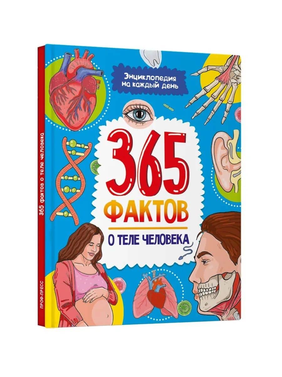 Энциклопедия на каждый день. 365 фактов о теле человека (2)