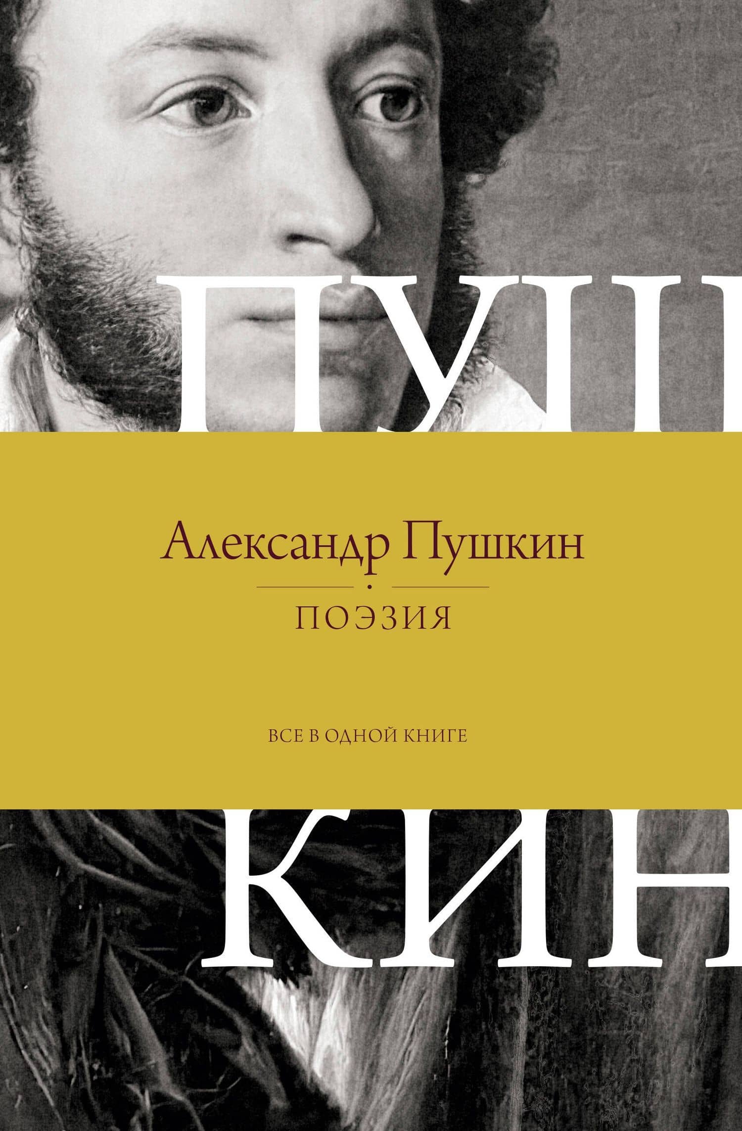 Поэзия. Все в одной книге — Александр Сергеевич Пушкин