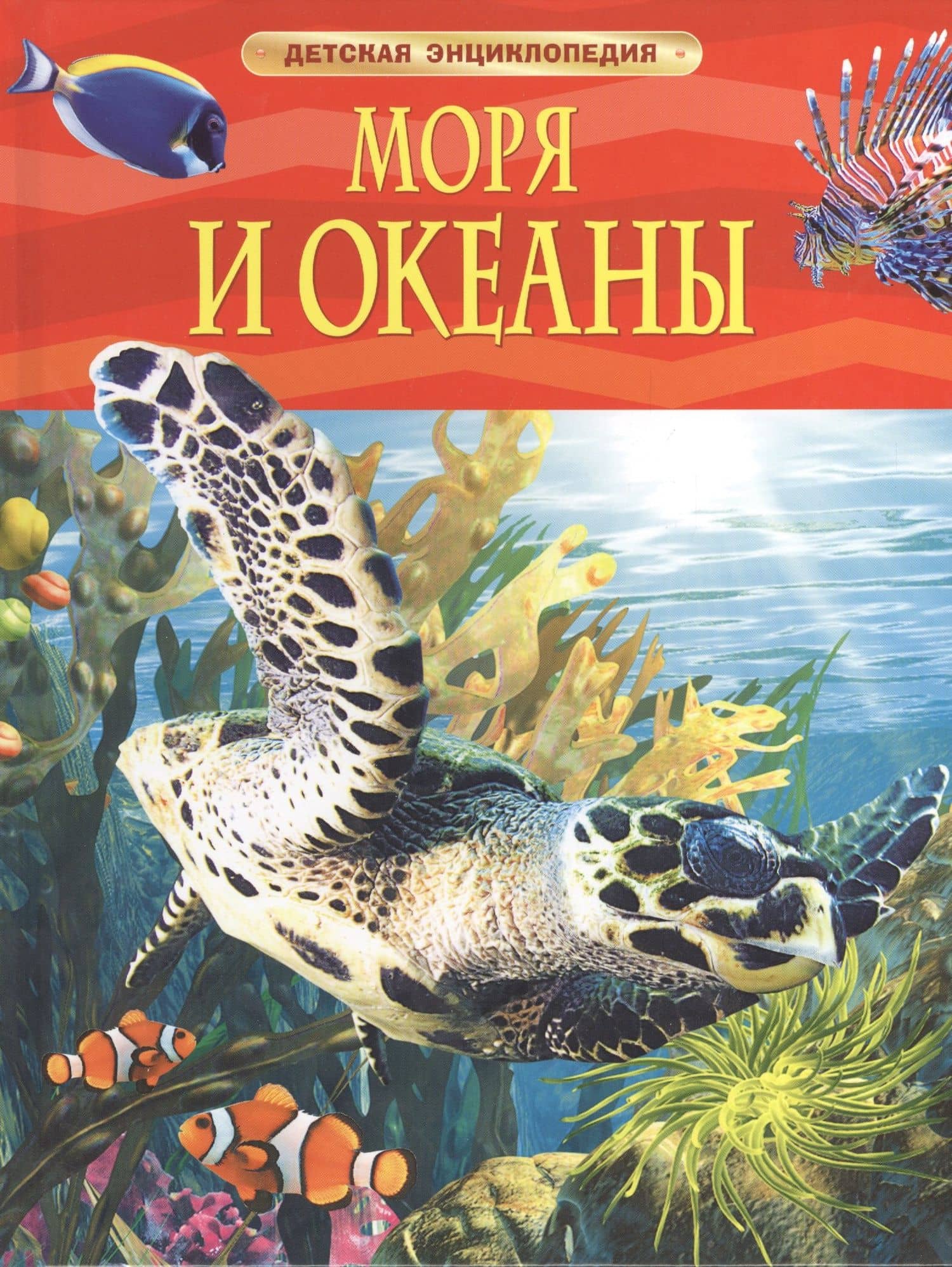 Моря и океаны — Маргарет Хайнс