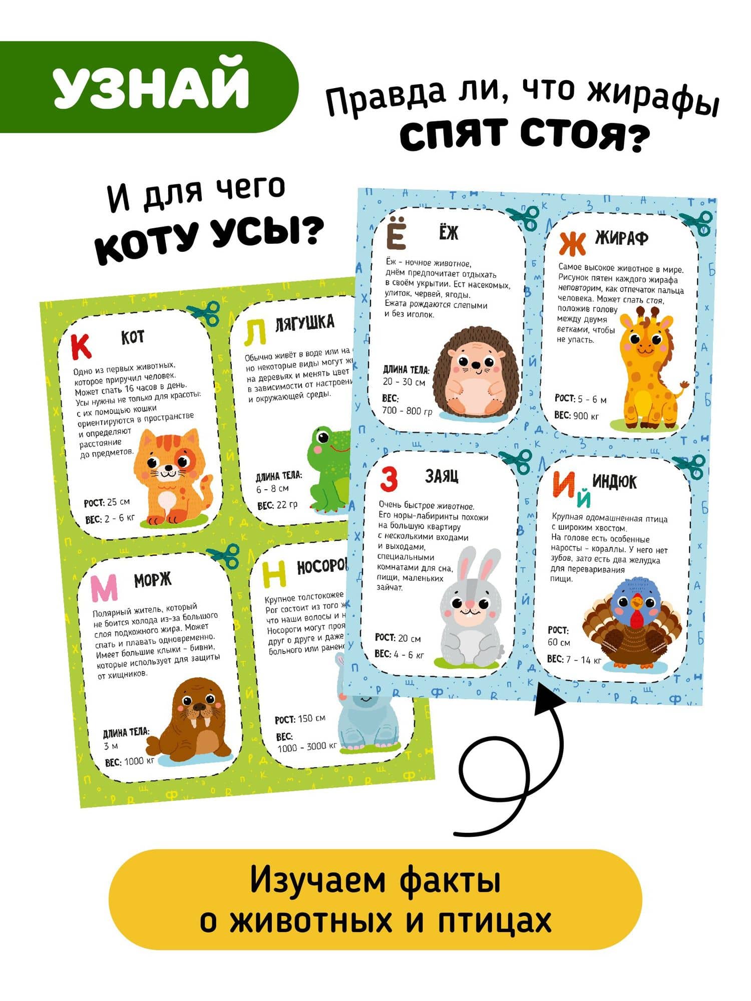 Зооазбука. Развивающая вырезалка для детей — Елена Макаревич (3)