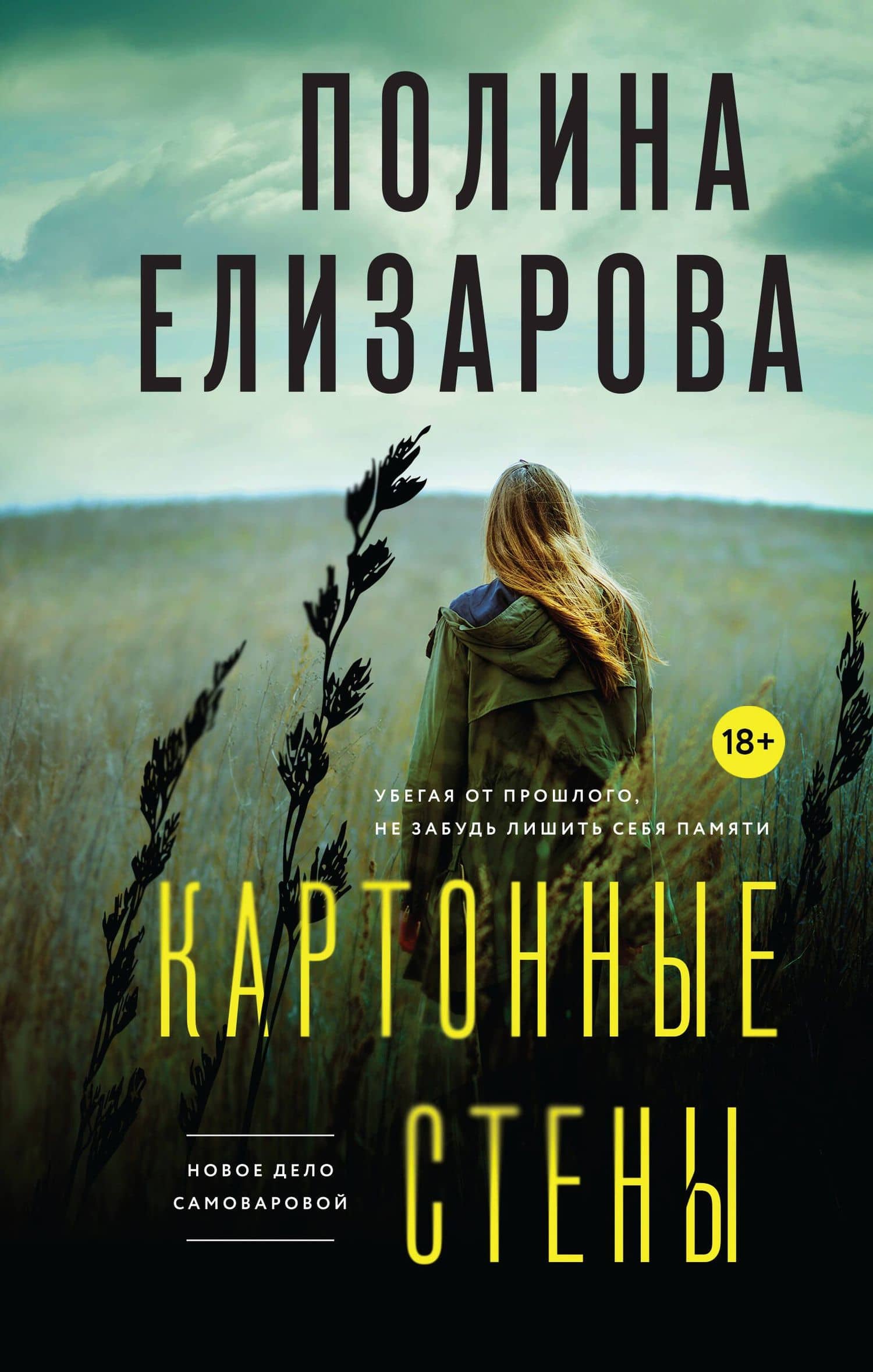 Картонные стены — Полина Елизарова