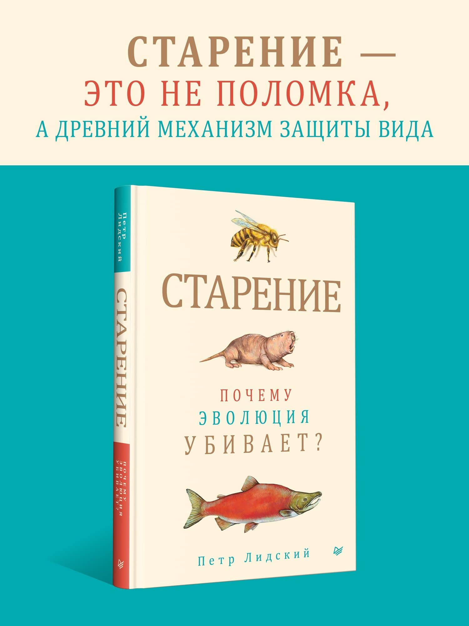 Старение: почему эволюция убивает? — Петр Лидский (3)