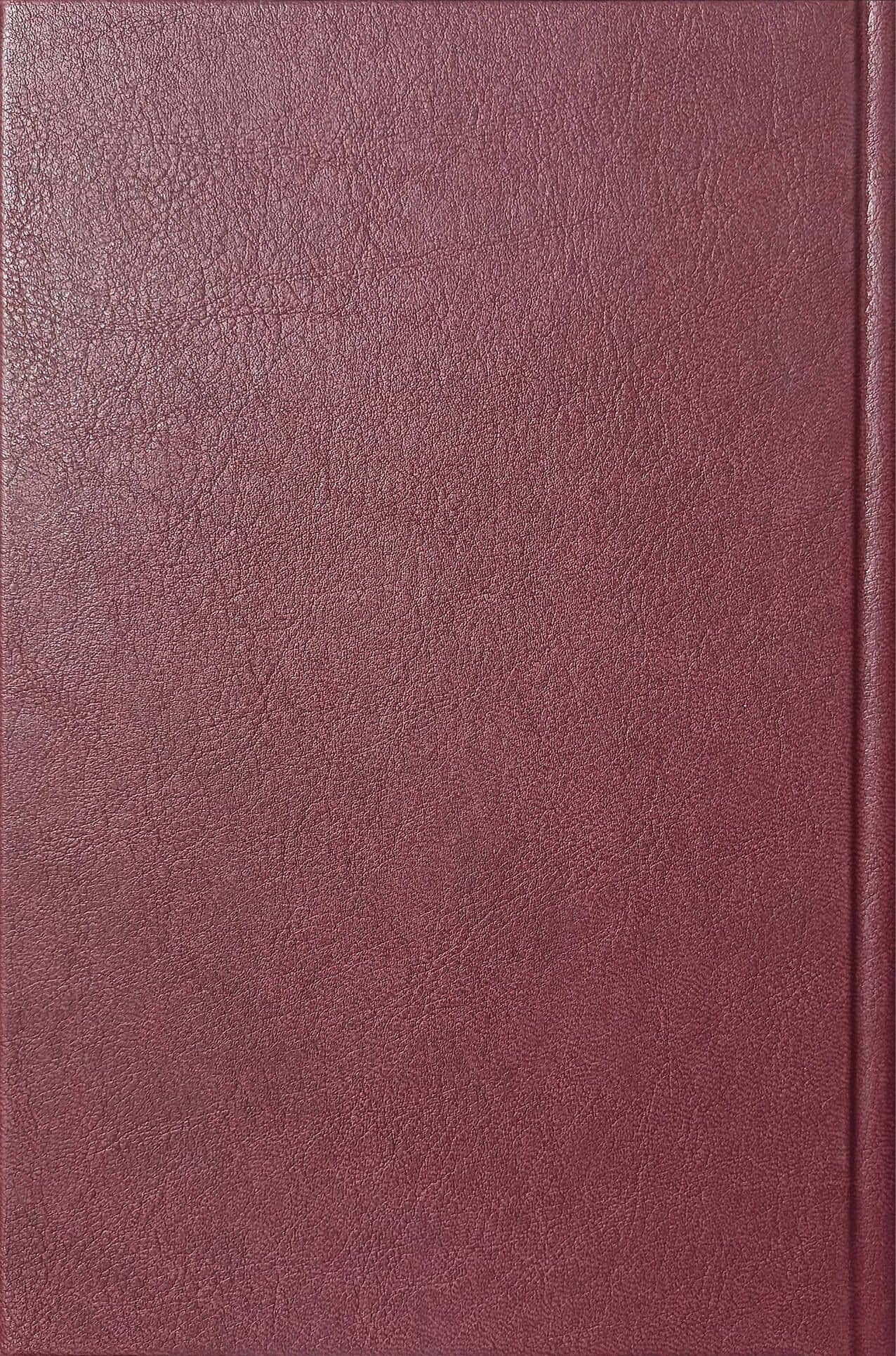 Шерлок Холмс. Повести. Рассказы — Дойл Артур Конан (2)
